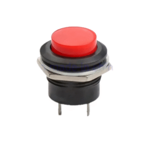 Push Button 2 pines